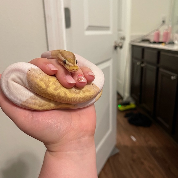 Meet your Posher, Tracie - Picture 9 of 9